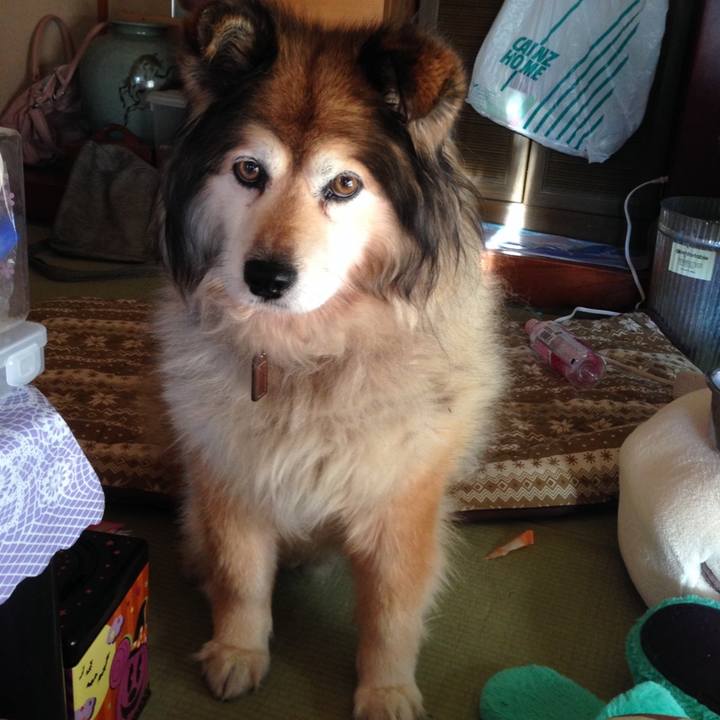 Aaf8d220 cbf8 4e84 9d9e 336ffe3c90ea 1611206038766