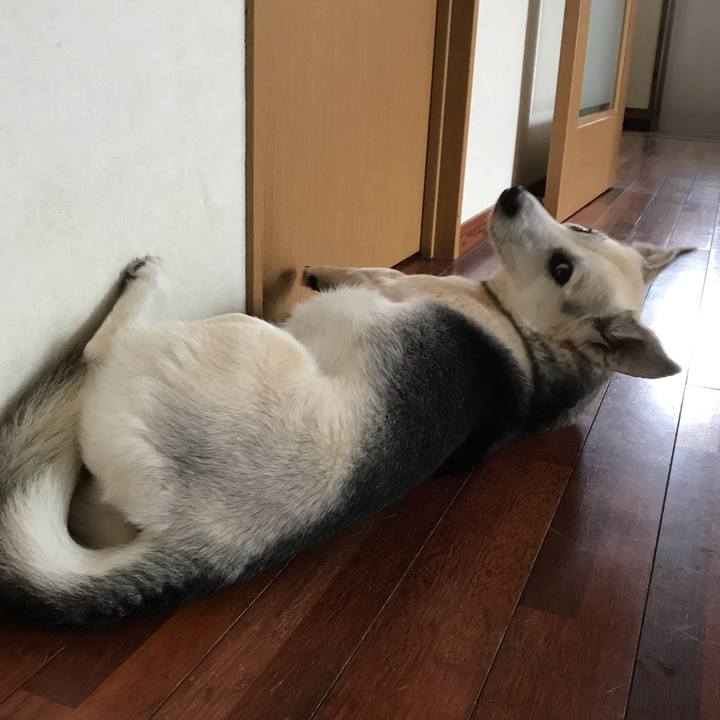 Aaf8e6ad 6c44 4386 a55d a5b34b207497 1556340610966