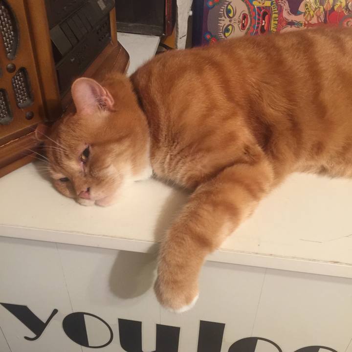 Aaf9094e 5a35 4d66 8a55 ff963da275d7 1566148997288