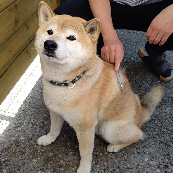 Aaf984dd fc60 4188 a1c9 576cf7f9a17e 1617003178966