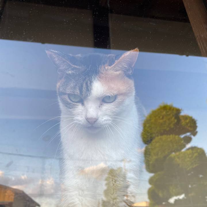 Aaf9da9d 071a 447d bedd d62d4b96e5f6 1698154262815