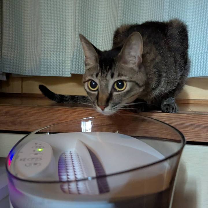 Aaf9fb13 2f35 4890 8e44 d31f1a57bfaf 1755844456804