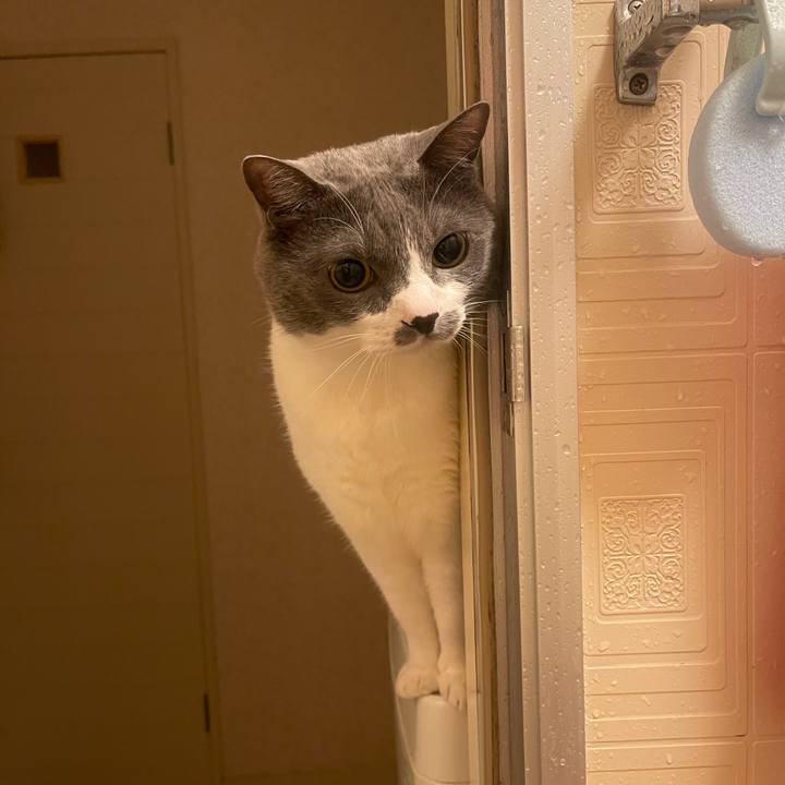 Aafa1a5d b4c2 45ca a76a 30eeb466cade 1748270684946