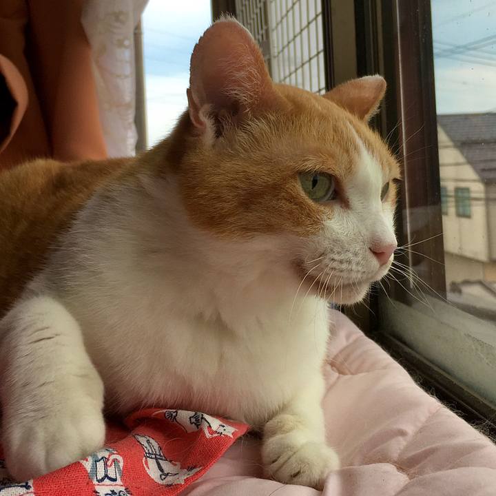 Aafa8f1b d474 4353 bb0f 01e6629eb603 1599115536508