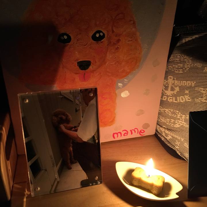 Aafb1157 8d1d 4a28 b2ec c17bf5c6eb6c 1536225511694