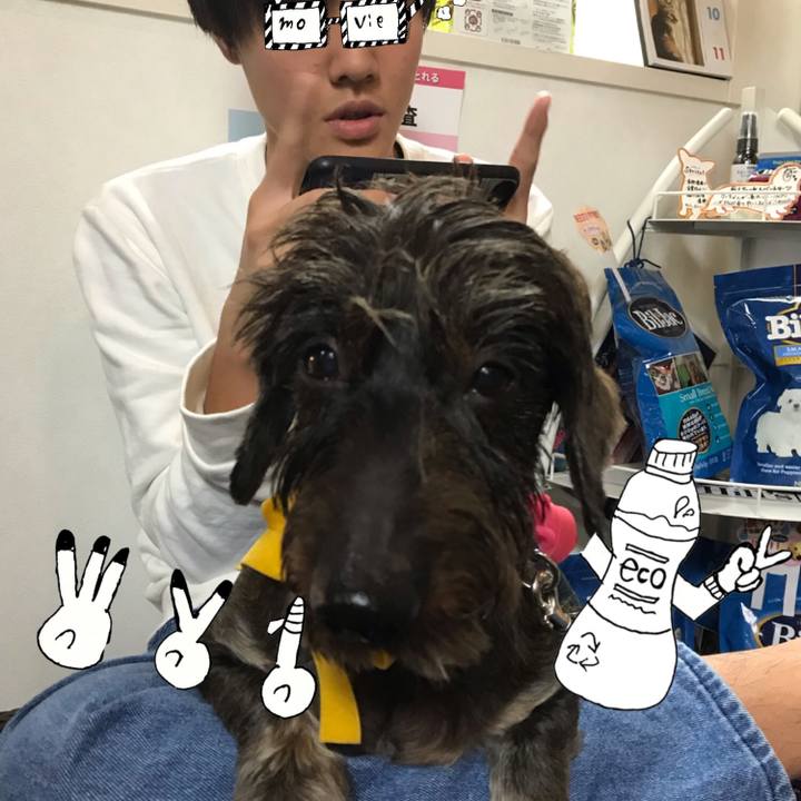 Aafb2481 5bf6 4a50 b053 674d0f862d92 1541849403750