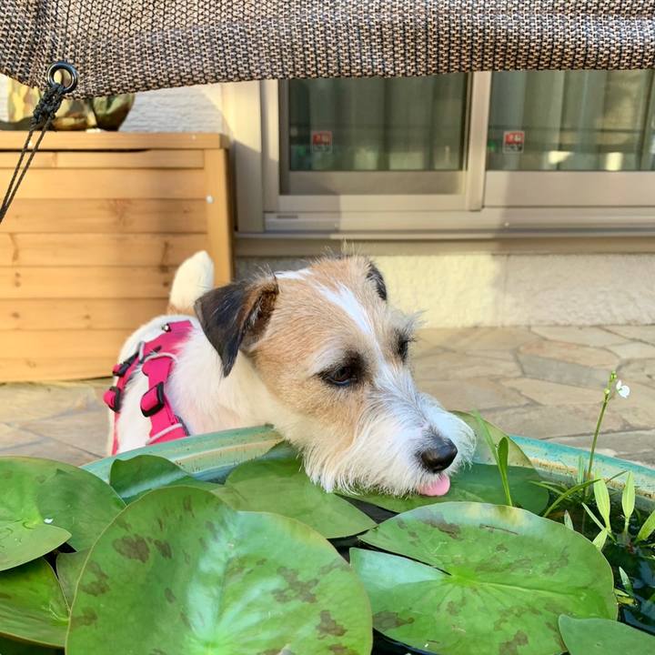 Aafb3e23 6abc 4014 a1c0 baec983fe8e4 1656544977753