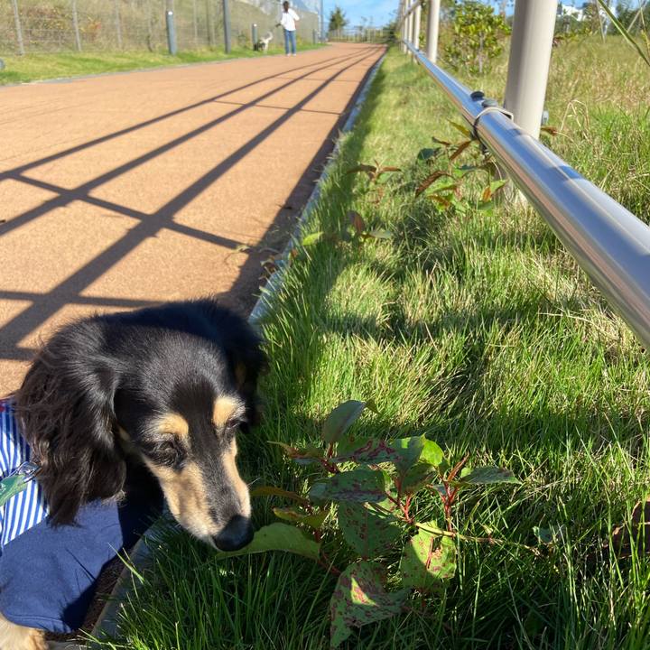 Aafb6df5 e8fa 43ae a864 6073dc5de168 1729727284769