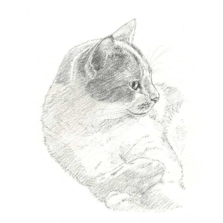 Aafbbe9f a8cd 4b71 9492 2b7d3ee77c22 1554560975245