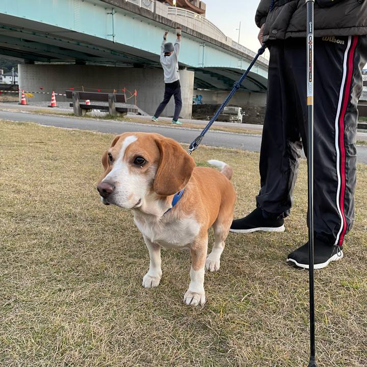 Aafbc438 1535 4a31 8bcf 119f82c387f6 1671033443182