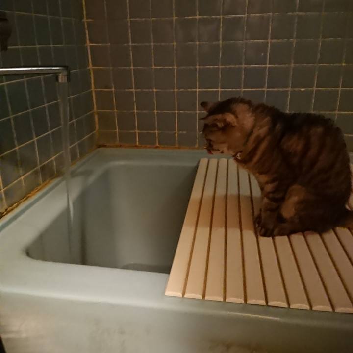 Aafbc9fa b34d 4e5a aa71 7d79d8c34a7c 1568972796053