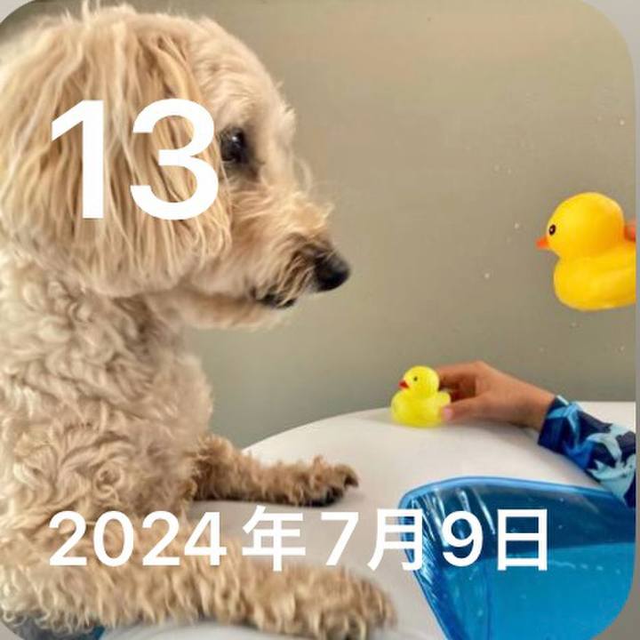 Aafbf158 df29 409f 92b9 98a0f030c73e 1752393928050