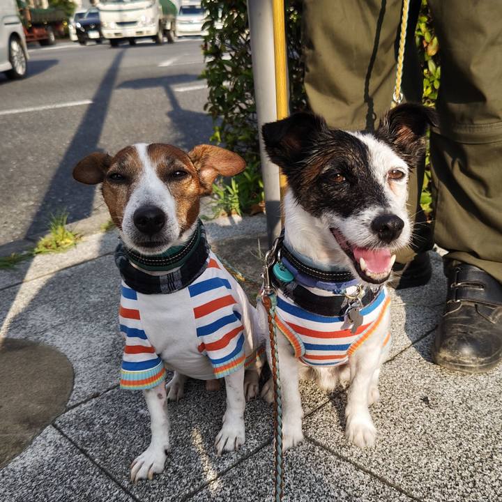 Aafc10cd 01e8 4c02 af66 251dc2844719 1722808505233