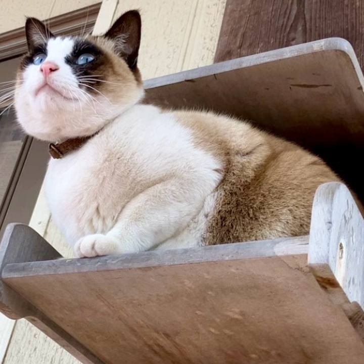 Aafc1ed8 76da 4d44 bc50 f6a76d9fa1f2 1741227058583