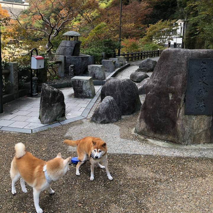 Aafc563a aedc 4b9c ab2d c39fd3c8c9d2 1573382679087