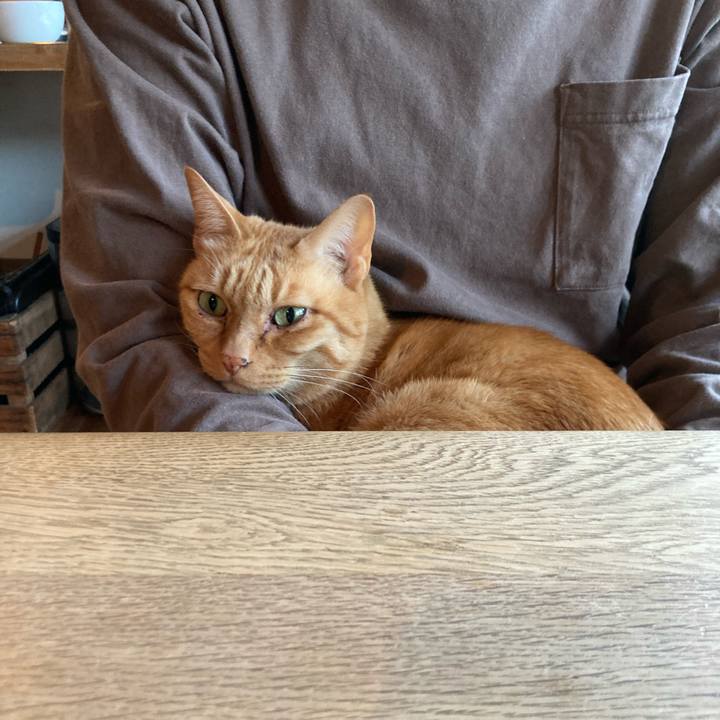 Aafc6447 13df 4f40 8d67 183c8d825567 1737120892533