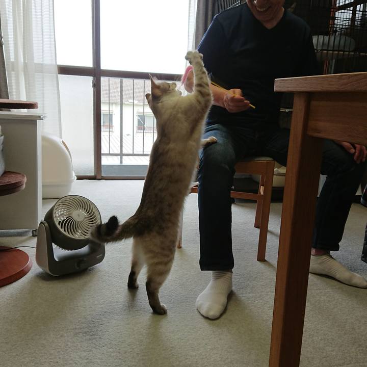 Aafcfc27 c95a 412f 988a 1f6e33a2a2d5 1559453953597