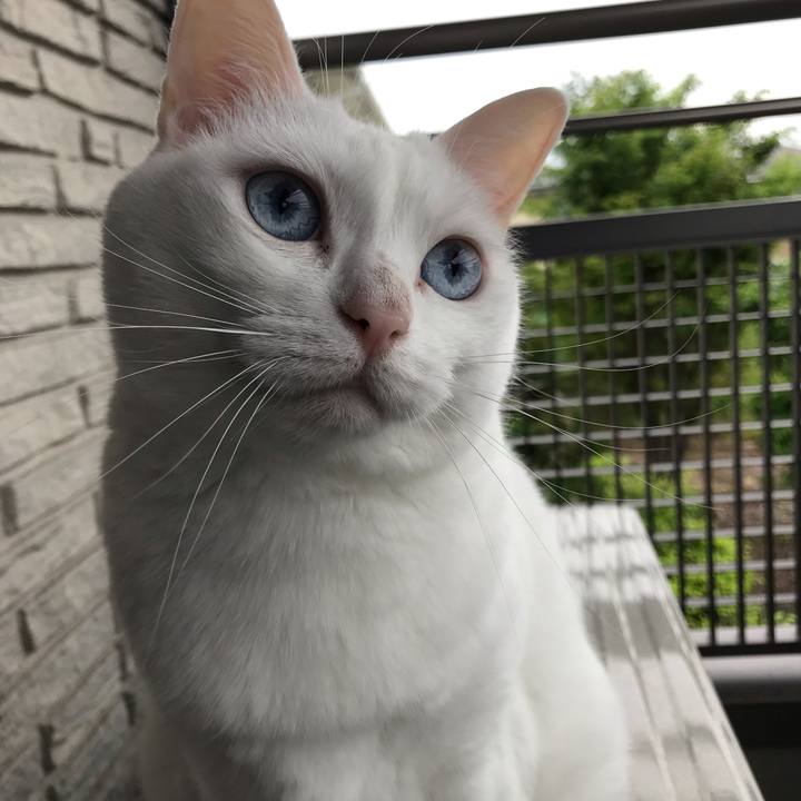 Aafd1bd3 d40a 4fbc 80e1 70286a991dd6 1556677266236