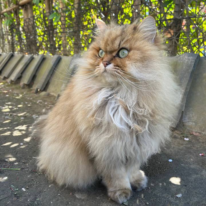 Aafd3456 5e36 490e a8d7 07a060f5c7b4 1743330439082