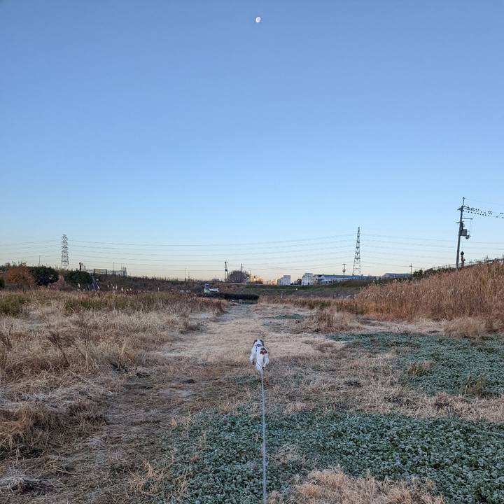 Aafd66d8 46bd 4de6 93ac 854e2c07d37b 1640224809786