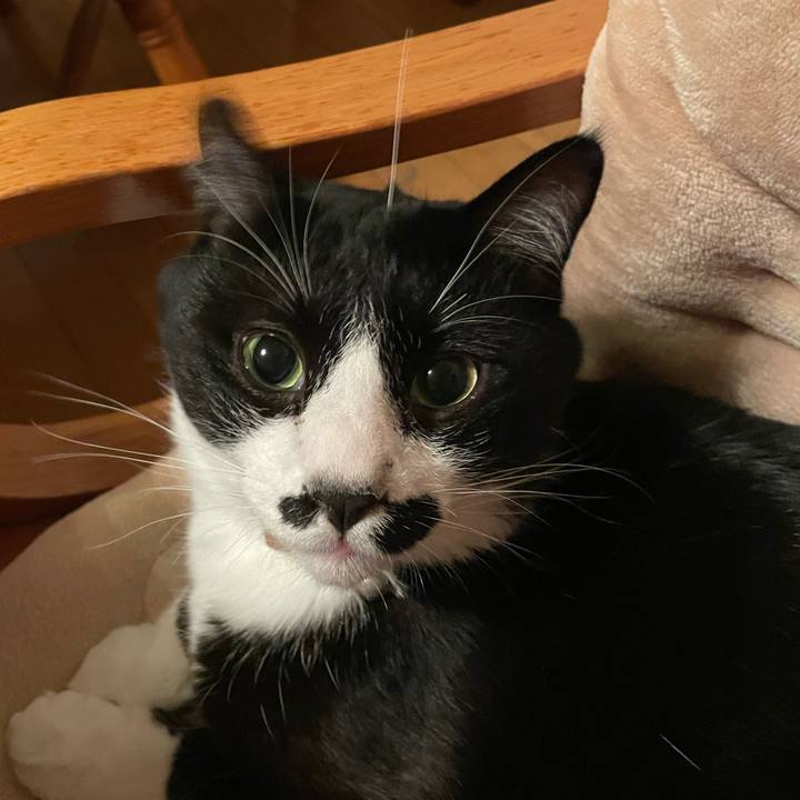 Aafdaa25 868f 4302 8bc9 61e5b138cc48 1676279813747