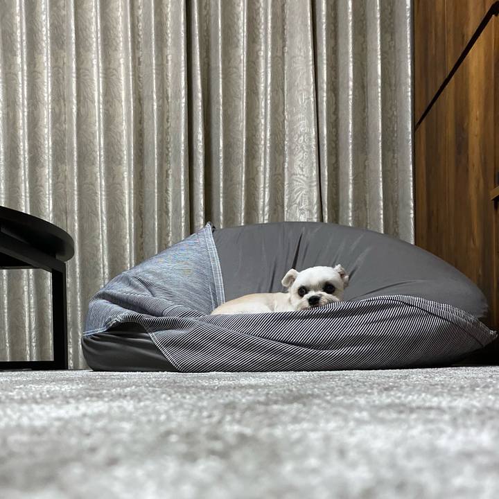 Aafdb09f dd92 41d1 b18a 45f8bf2b864e 1601647688925