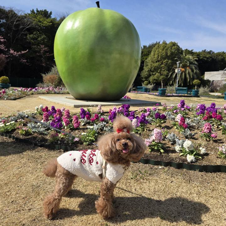 Aafdb670 db67 407c be35 0aea71b78ec1 1772372781109