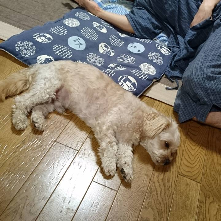 Aafdbc74 72e3 4096 9b7f 3d6a2571907f 1600856340943