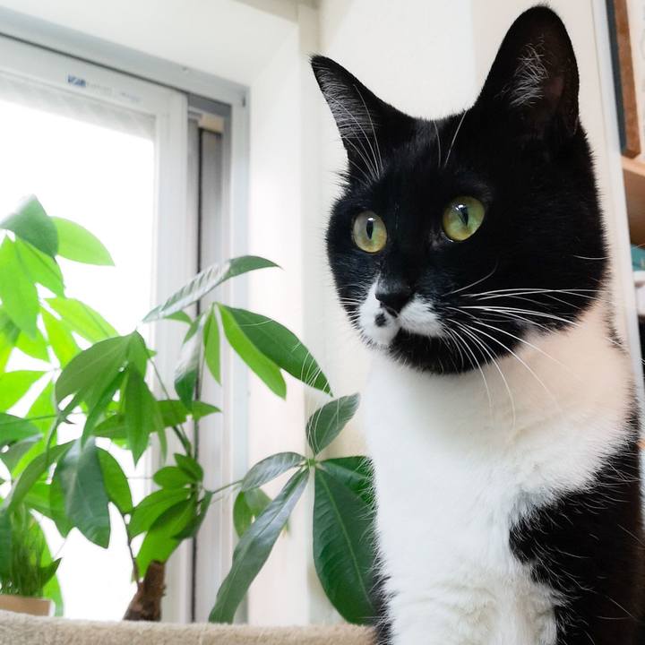 Aafdc2c1 69d9 4b17 bec8 e7c04953d676 1544195048653