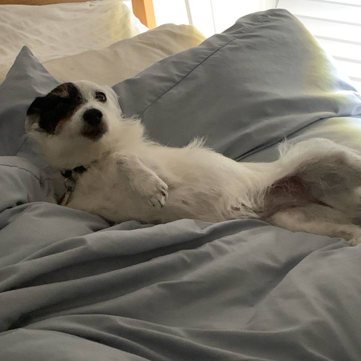 Aafe173c 9e1c 4ded 8bf9 da3dd298741c 1717595298833