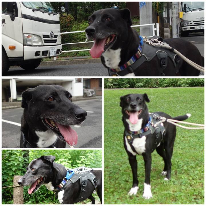 Aafe2d62 8e2c 42ec 9f80 722c12f05881 1655858416849