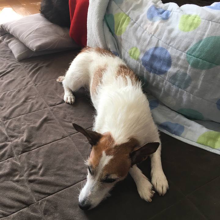 Aafe58ae 4564 4d1f 8c44 09295973b9f7 1573615593588