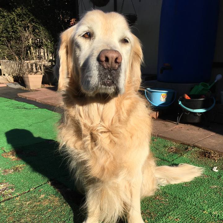 Aafe89a1 8523 401c a527 230f2e81d985 1519946019596