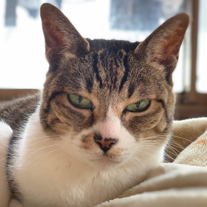 Aafeaa19 f221 4f0d ac52 acce575c0d53 1585963696229