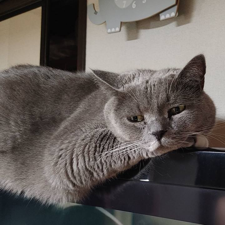 Aafeb263 22fa 4f32 9aec 5b1df1afeafd 1703419052948