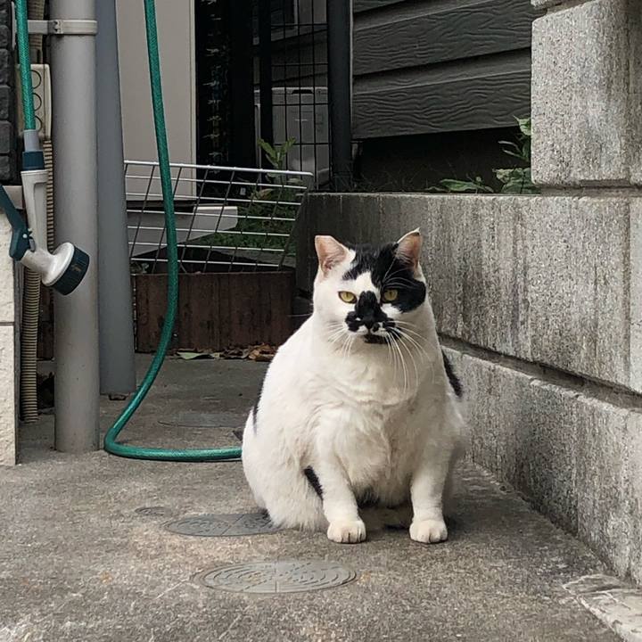 Aaff006c c1b4 4333 b4fe b5aa9b6a342a 1638013283696