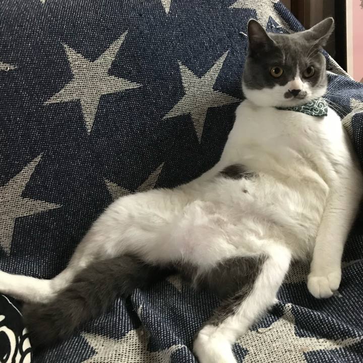 Aaff1143 88cc 4ff7 b9ca 63c218e7cd93 1687093889190