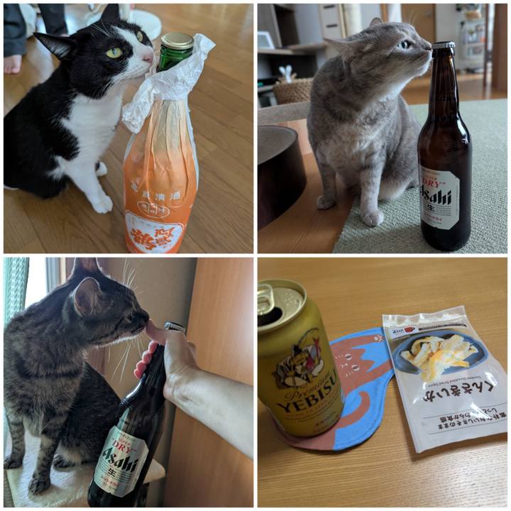 Aaff167f dc4c 439f 8a78 1f7e2d3abc92 1759067275126