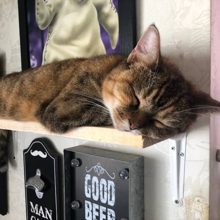 Aaff1d99 79e2 4b0f 9221 0e4f7e631104 1595812455516