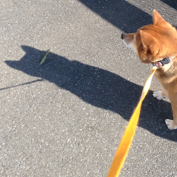 Aaff3ded 0b05 44d8 a69d 798a138547b6 1509938524277