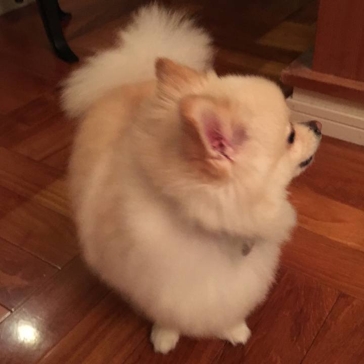 Aaff6214 988c 4d46 b627 17544dab8547 1577106477984