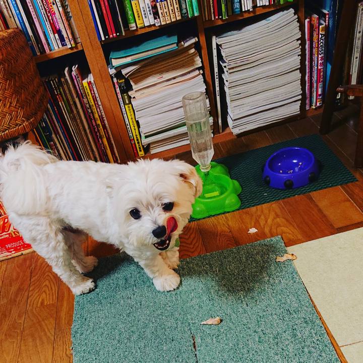 Aaff6f3e bc87 43fe 9084 cee953ffec56 1560681971626