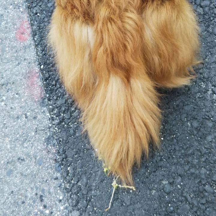 Aaff8b9f 9adf 47f4 8aea 3881b5bcf986 1618560585893