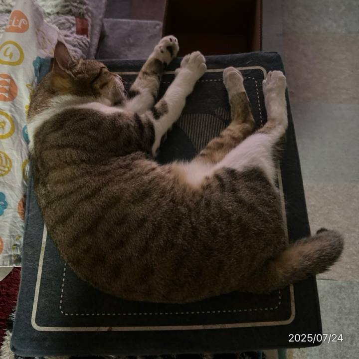 Aaffb60e 5f88 44e5 b9d1 adc79b587331 1753394621502