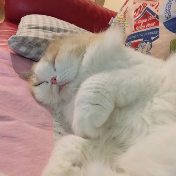 Aaffc58d 0771 4245 bbc9 4a6240c0711f 1525345310647