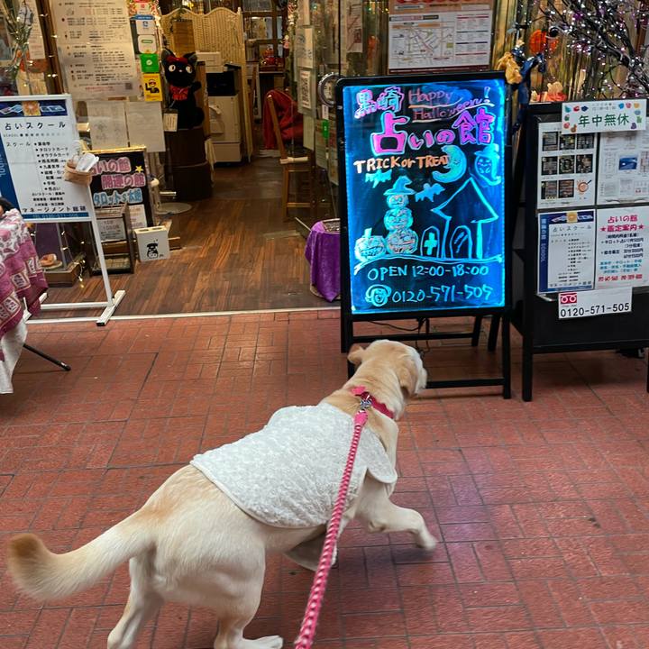 Aaffcb11 00a5 4768 a7f6 0807f06bd076 1635604148062