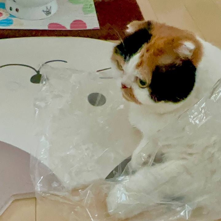 Aaffe4c1 12fc 42f6 92c0 2c453195e805 1669764452252