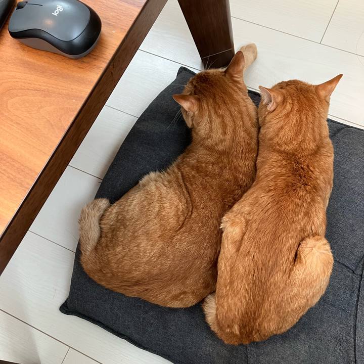 Aaffeb0e fb1e 47e9 b9f7 18b203bff0fe 1759380990394