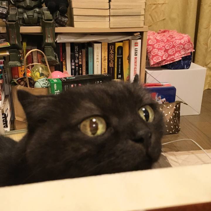 Aafff487 7994 486c 976a 2dc3afb3f626 1529479781010