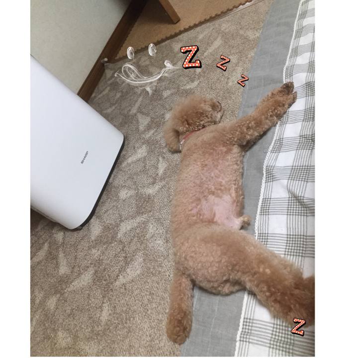 Ab0002f6 ac47 422f 91ff 53e2b03ff9d7 1536533358255